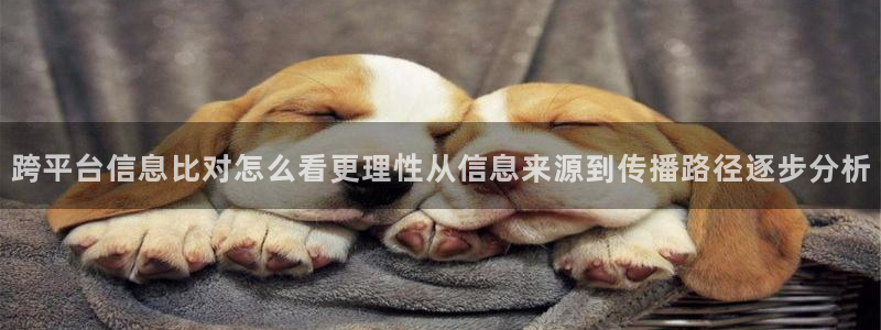 黑料资讯大全：跨平台信息比对怎么看更理性从信息来源到传播路径逐步分析