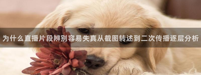 事件爆料动态：为什么直播片段辨别容易失真从截图转述到二次传播逐层分析