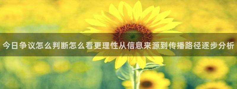 黑料爆料热点排行榜：今日争议怎么判断怎么看更理性从信息来源到传播路径逐步分析