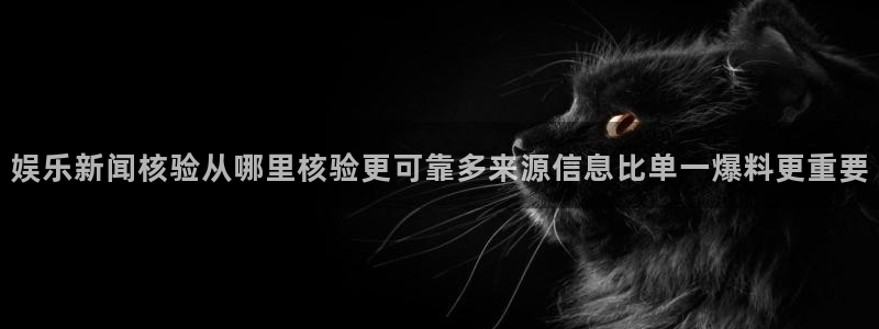 热门话题大全：娱乐新闻核验从哪里核验更可靠多来源信息比单一爆料更重要