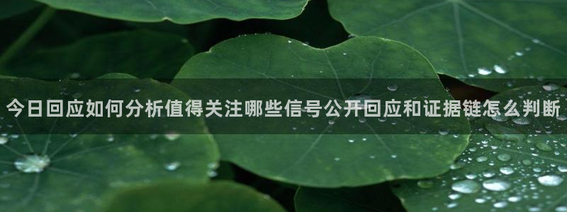 黑料爆料资讯榜：今日回应如何分析值得关注哪些信号公开回应和证据链怎么判断