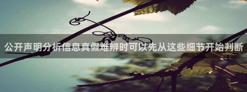 黑料今日事件:公开声明分析信息真假难辨时可以先从这些细节开始判断